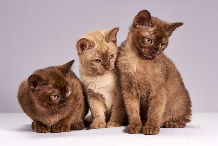 Die Unterkunft Steht Ab Sofort Nicht Mehr Zur Verfugung Appartment Is Finis 1 June - Thanks For All Your Andreas & 3 Cats Lubeck Bagian luar foto